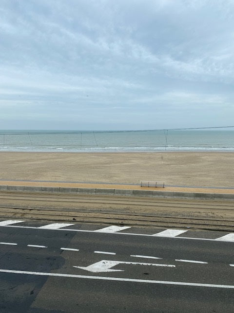 Zeedijk 352, 8400 Oostende